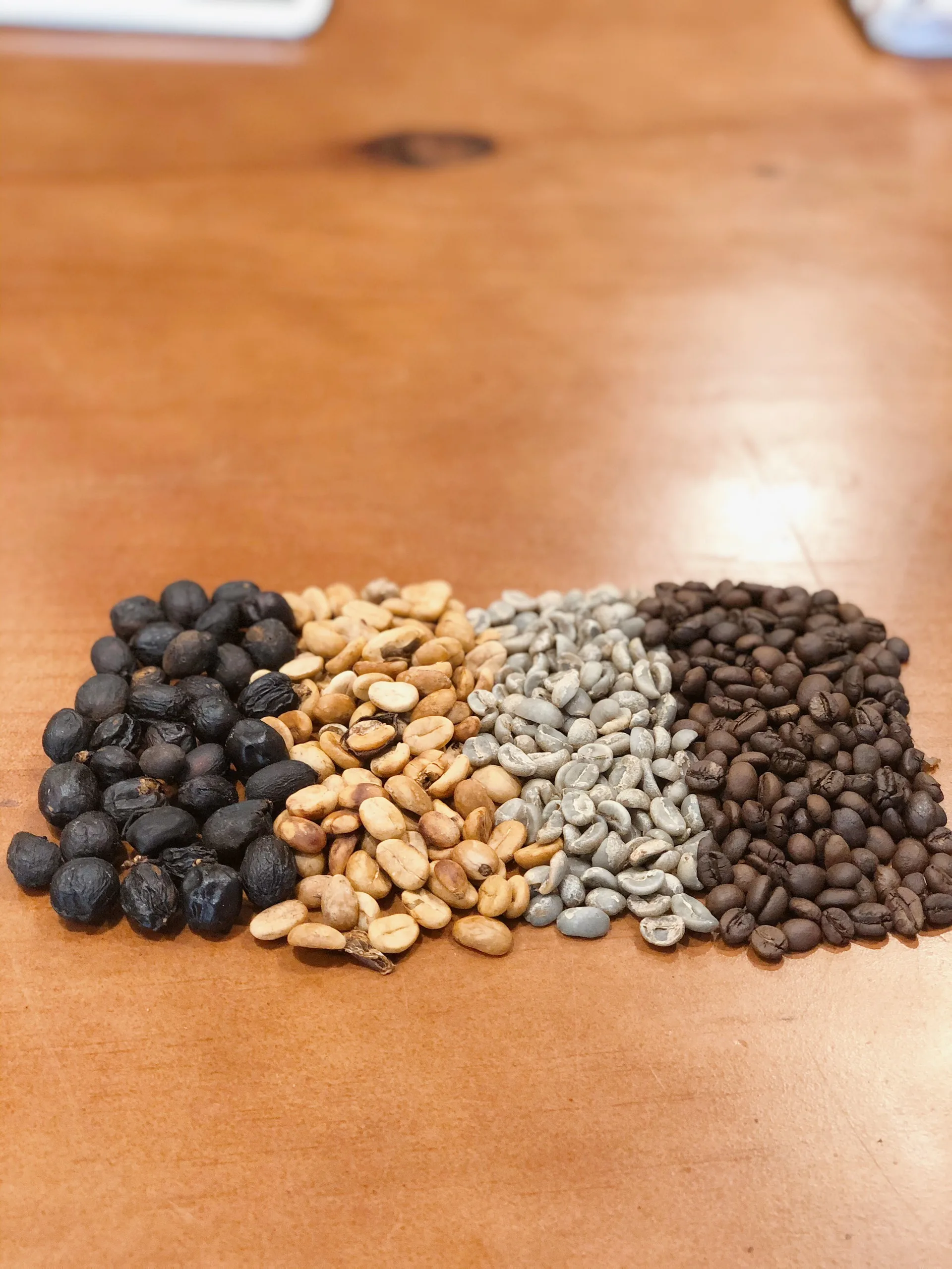 Roasted Robusta Arabica Coffee Beans Blend / French Roast / Process Honey and Semi-Wash Vietnam Single Origin