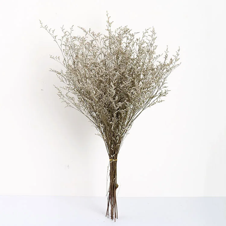 Ins style Limonium latifolium preserved  valentines grass for home and Decoration
