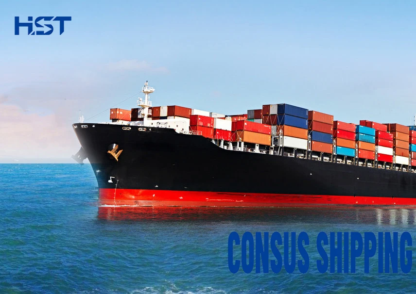 Cheap Door To Door Sea Freight From Shanghai Tianjin Qingdao Ocean Ddp Shipping Israel