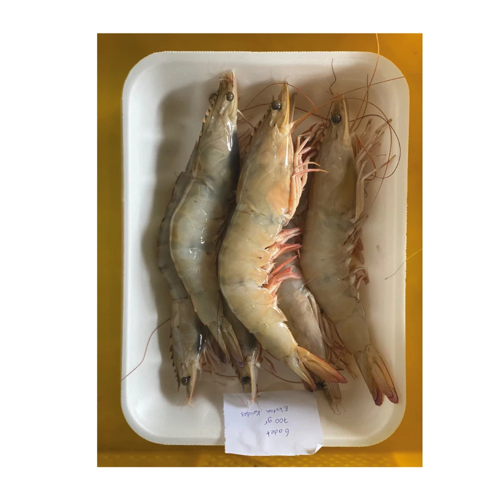 Высококачественные креветки Iskenderun оптовая продажа