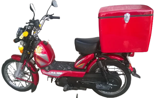 HEAVY DUTY LED SCOOTER DELIVERY BOX FOR BIKES MOTORCYCLE SCOOTERS CARRYING FOOD, VEGETABLES, GROCERY, COURIER, PIZZA ETC