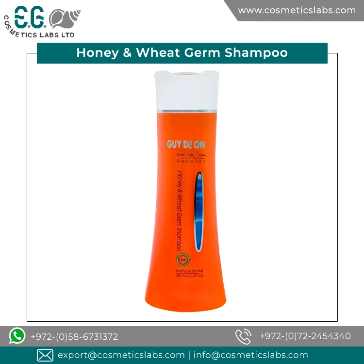 Genuine Price Top Most Selling Honey and Wheat Germ Shampoo from OEM Supplier