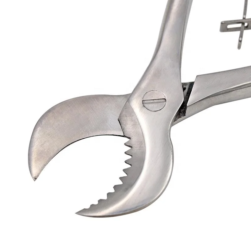 Top Value Stainless-Steel-Forceps-Instrument Gypsum Dental-Plaster-Shears-Scissiors-Dentist-Lab-Tools