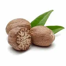 Nutmeg Seed Original From Indonesia Sellers