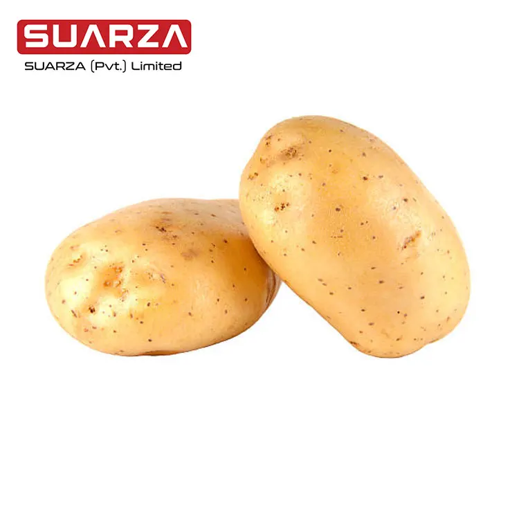 2022 crop Fresh Holland Potato (70-140g)