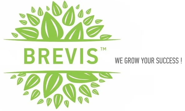 Top Grade Pumpkin Seeds Kernels Natural Roasted Pumpkin Seeds Raw Bulgarian Origin Top Quality New Crop Packaging Snacks