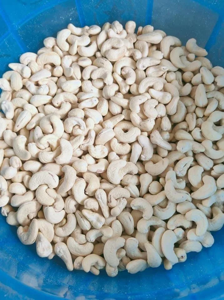 
Cheap cashew nut dried cashew nuts Cashew nuts kernels w240 w320 w450 