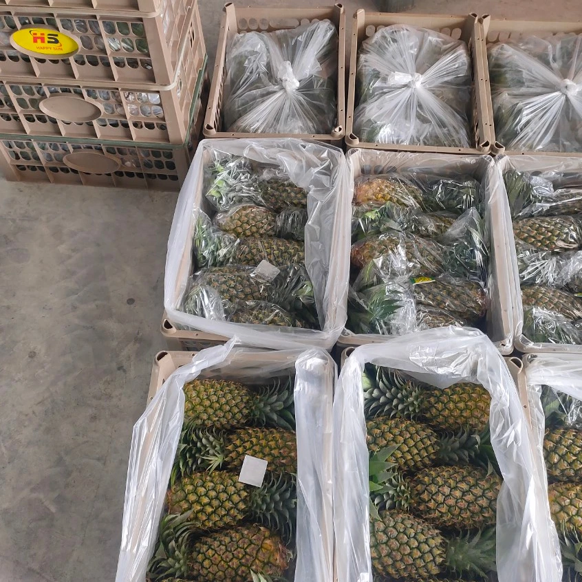 
2021 new crop sweety fresh Queen Pineapple High Quality Best Price shipping from Viet Nam 