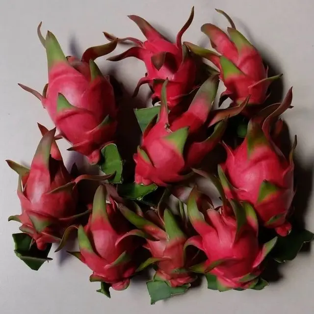 Свежий и полезный питхая или Клубничная груша из Вьетнама-фрукты сладкого красного дракона