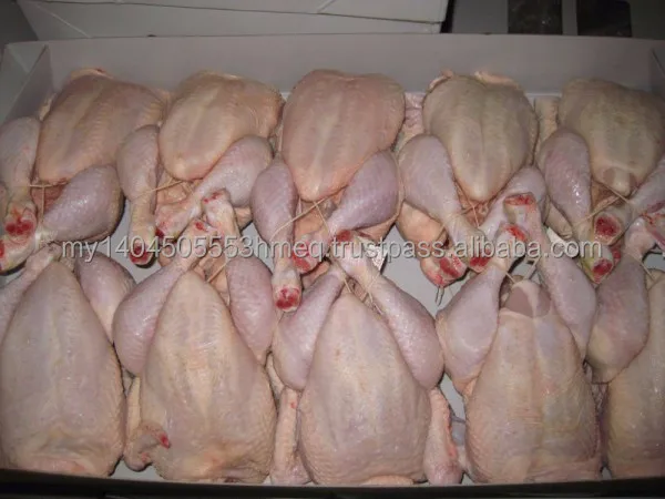 FREE SHIPPING. Halal Frozen Whole Chicken -Grade A