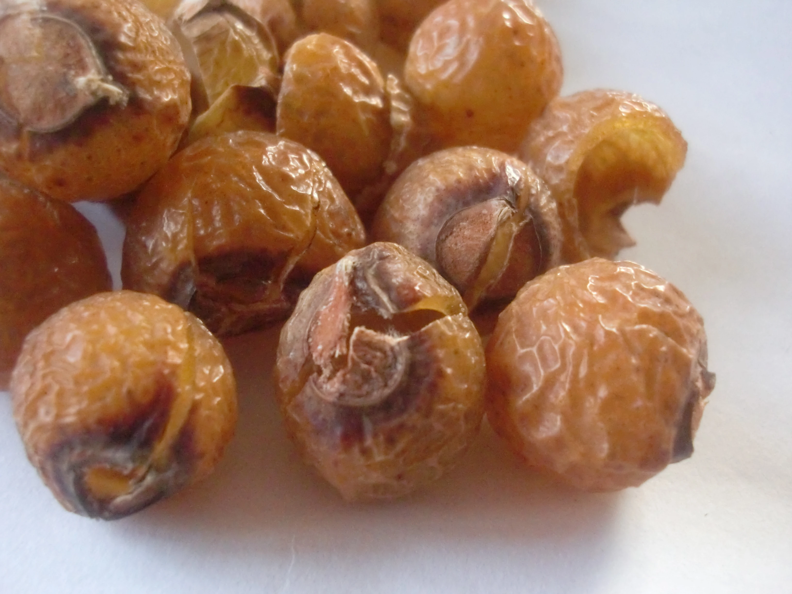 Organic Soapnuts, Soap nut, Organic Waschnuss