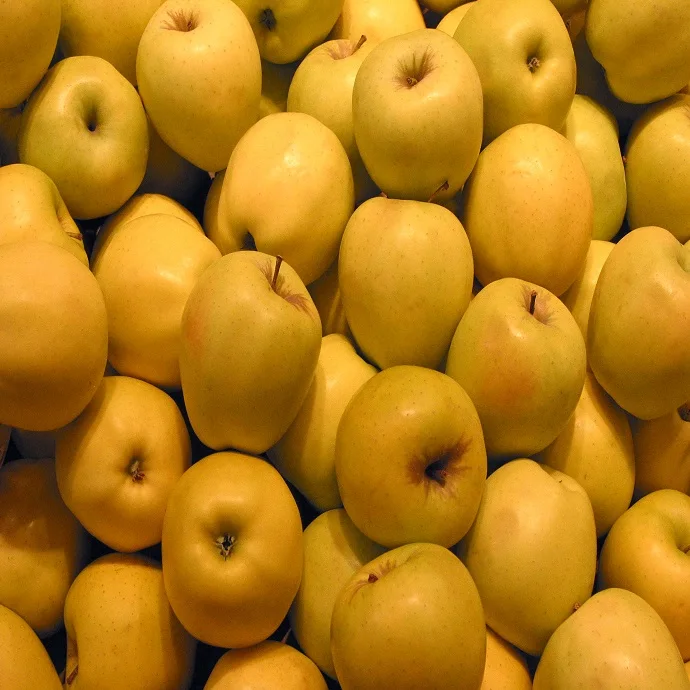 US Grown Fruit Green APPLE GRANNY SMITH Robinson