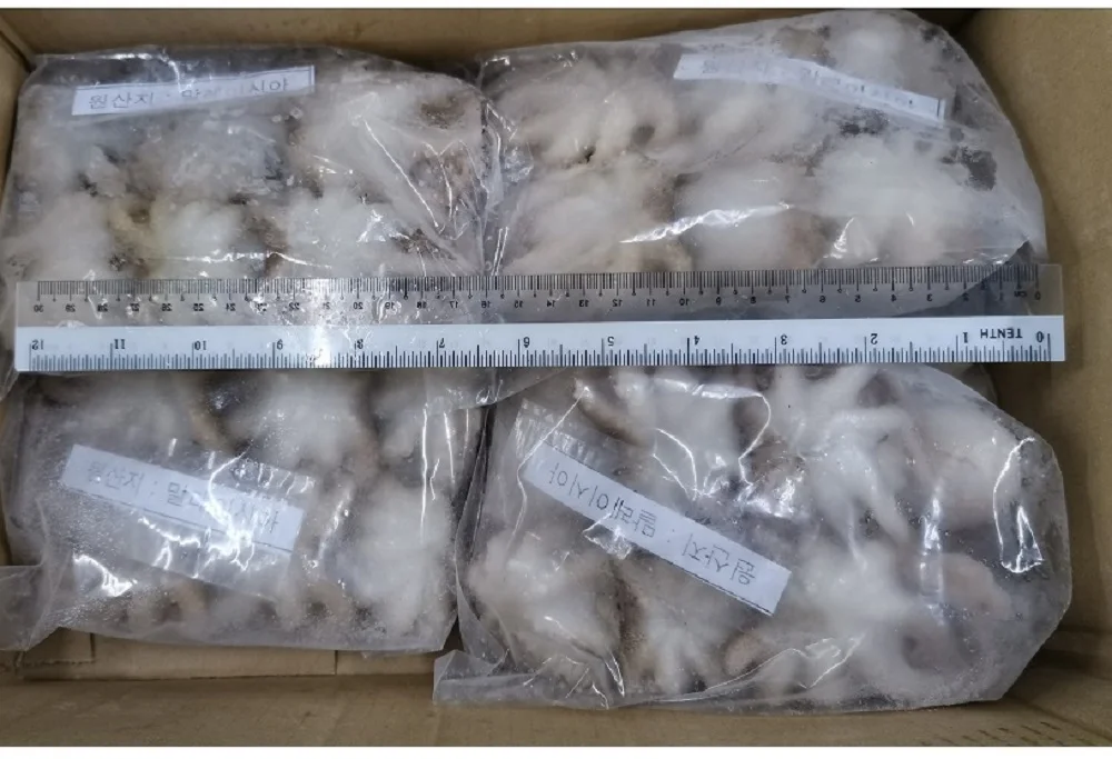 
Malaysia High Quality Seafood Frozen Whole Cleaned Baby Octopus With Cheap Price 