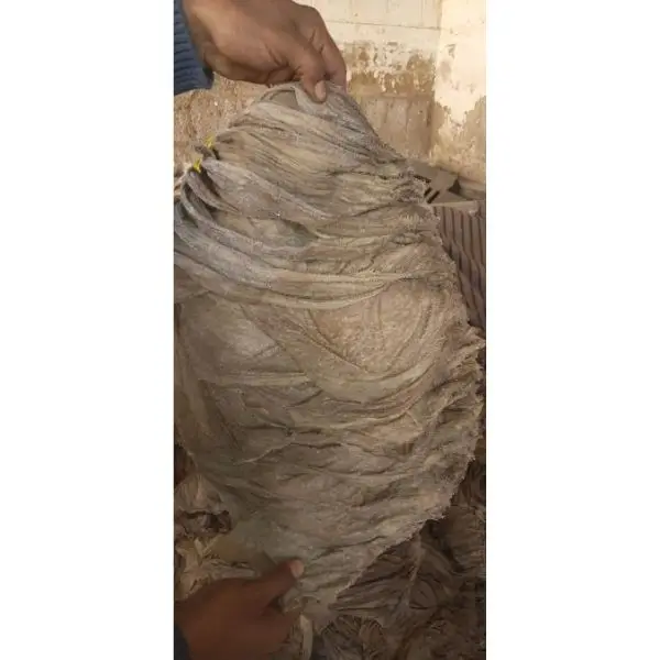 Cow/Buffalo Salted Stomach/Halal Omasum