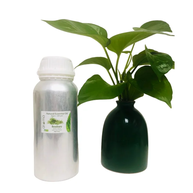 
High Quality Natural Rosemary body Oil 100% Pure Relax balance good for sleep Cold Moisturizing Aromatherapy 