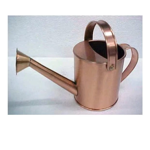 Metal Watering Can with Removable Spout Perfect Galvanized Watering Can for Indoor and Outdoor Plants  Flower  Watering