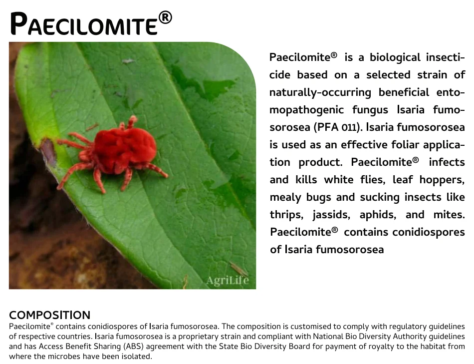 Screenshot (892).png