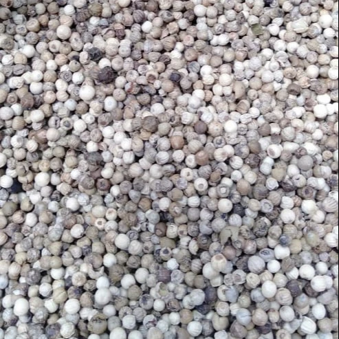 
Белый перец из Индонезии-Лучшая цена и качество 