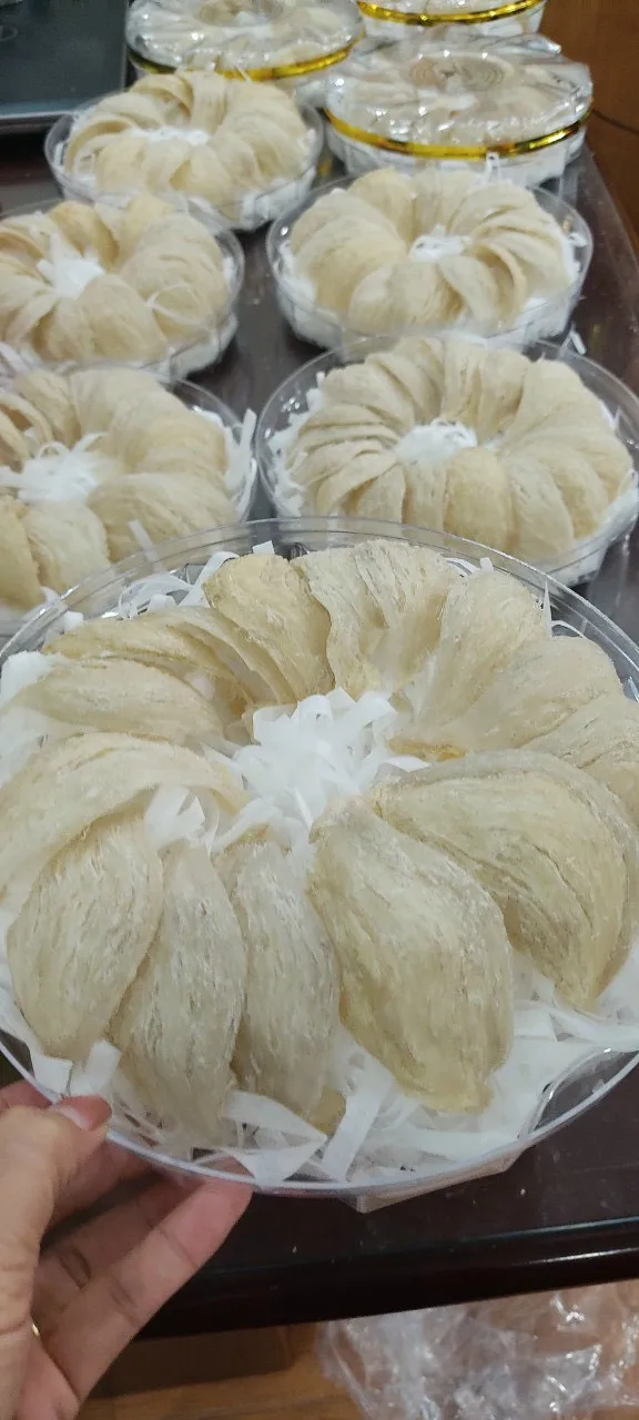 
High Quality Low-fat Protein Bird Nest Good For Health From Salanganes Vietnam for Export 