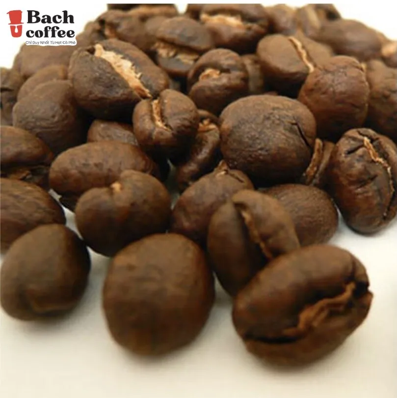  Вьетнамские кофейные зерна-Culi Robusta / Peaberry зерна-среднее обжарение-самый высокий кофеин 8 унций (250 г)