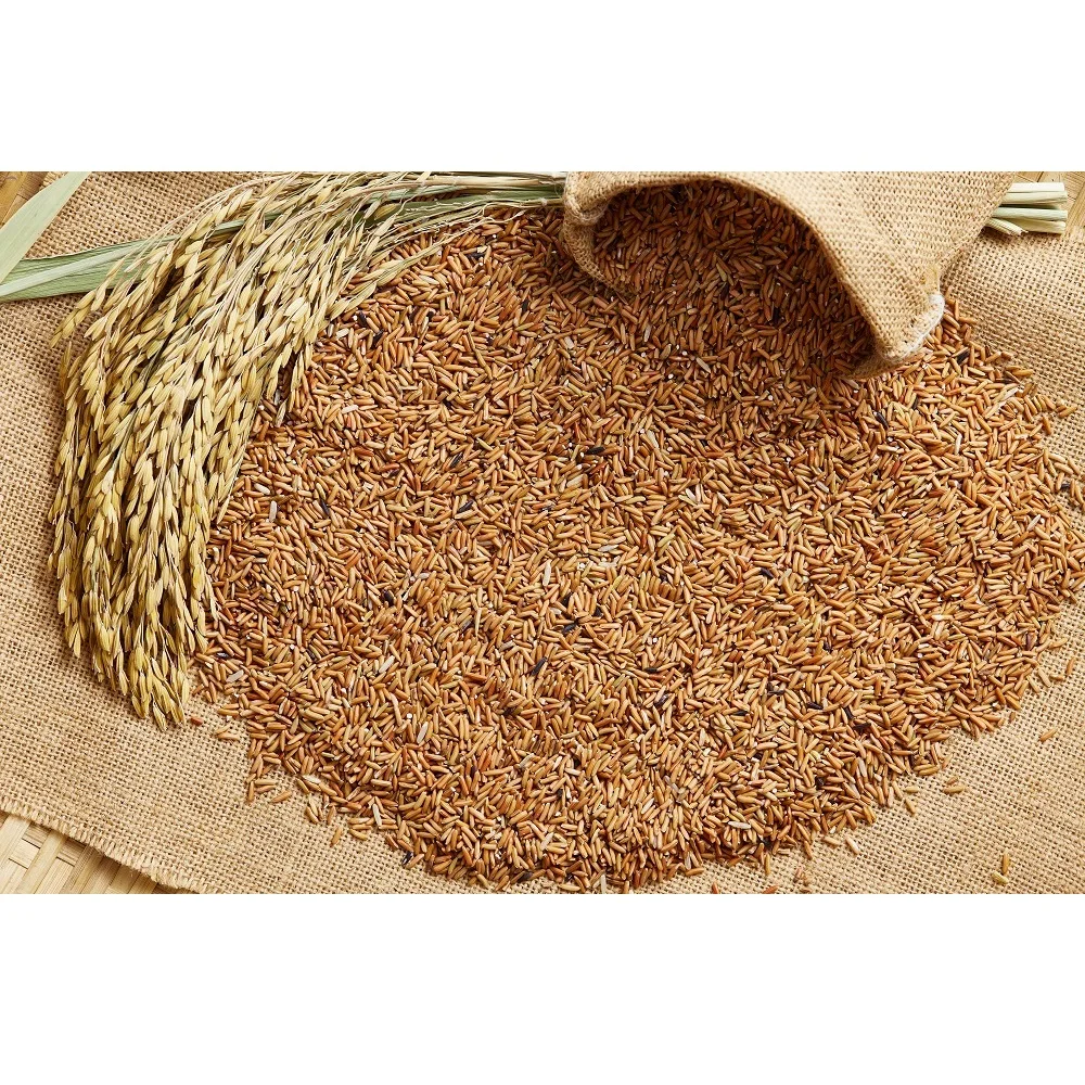 2020 Crop Long-Grain Thai Sangyod Rice Brown Rice  With 12% Max. Moisture in PP Woven Bags Packaging