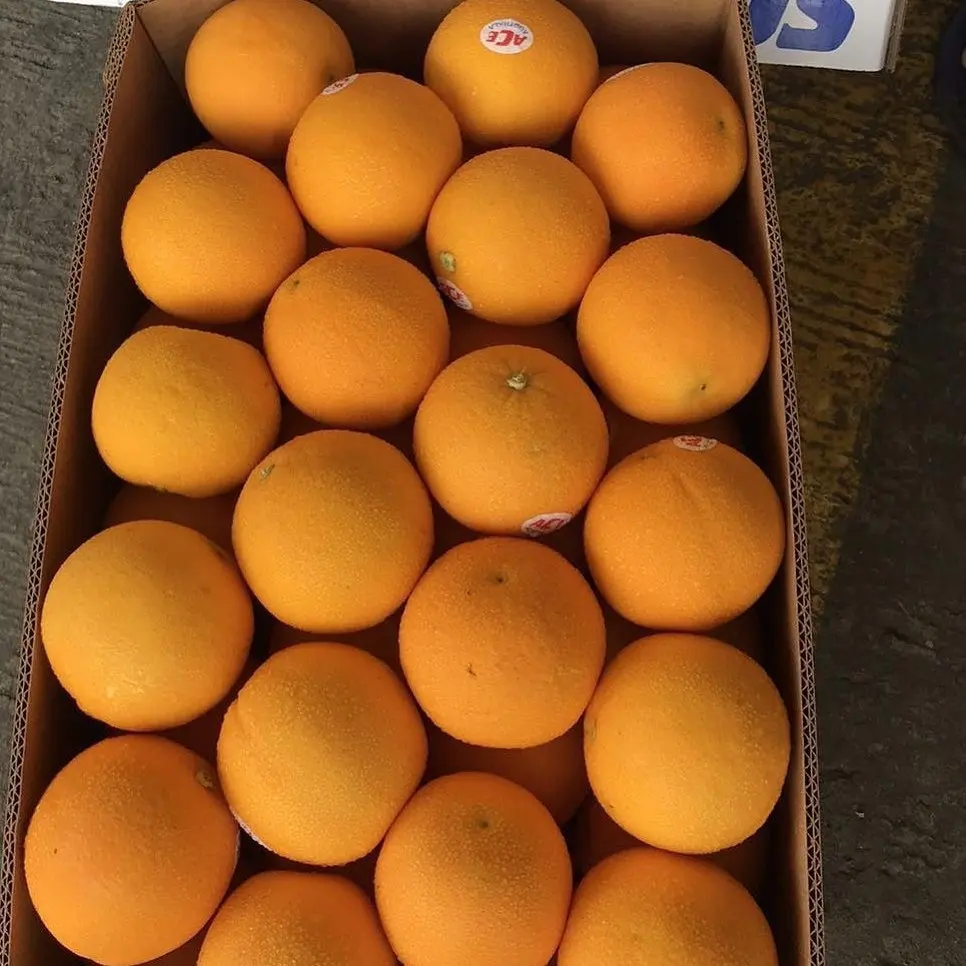 Oranges fresh citrus fruits navel orange..