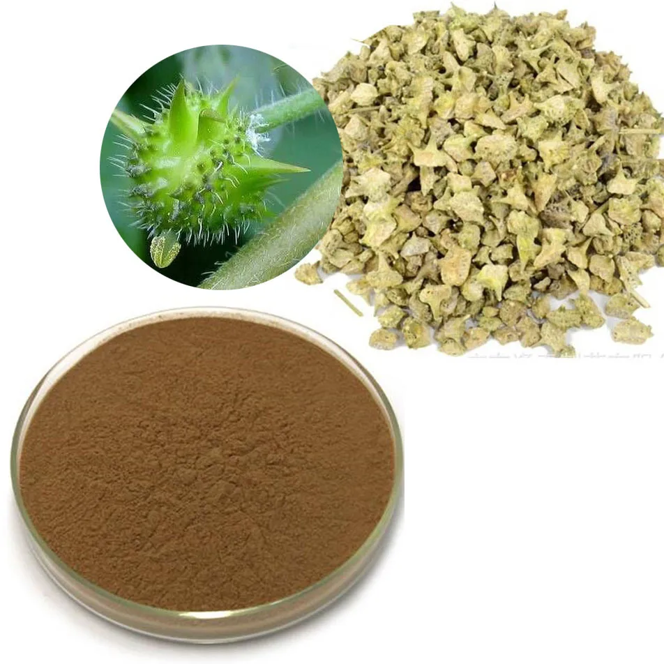 
100% Natural Tribulus Terrestris Extract Saponins 40% by Gravimetry. USP, EU Grade. ISO 22000 (UKAS). WhatsApp +91-7087480008. 