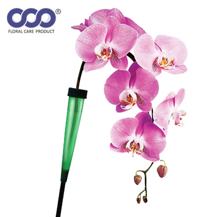 Best Quality Cattleya Holder with Finest Made Floral Accessories for Flower Arrangement Flower Decoration