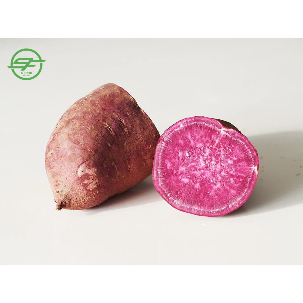 High quality sweet potato / japanese purple sweet potato type from Vietnam (Whatsapp/zalo/wechat: +84 912 964 858)