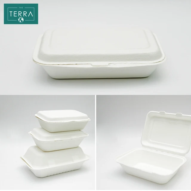 Vietnam 258.2*208.2*24.5 mm Surgarcane Bagasse Biodegradable Packaging Boxes Pulp Moulding Rectangle 5-compartment tray