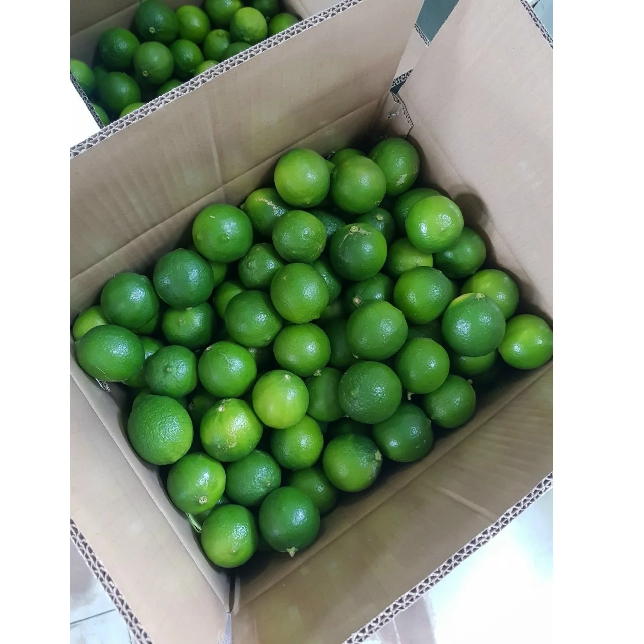 100% Maturity Natural Taste 5 cm Size 12 Months Shell Life 10kg Green skin Good Quality Fresh Lime Seedless