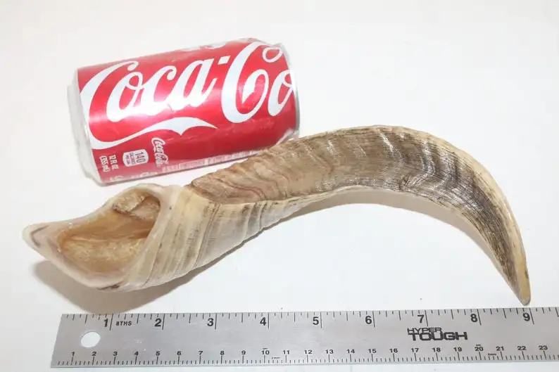 RAW RAM HORN  FOR MAKING KNIFE HANDLE