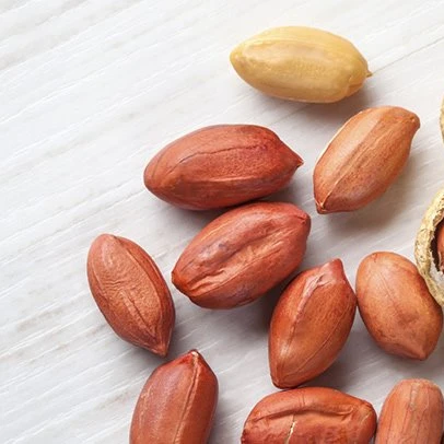peanut exporter from india