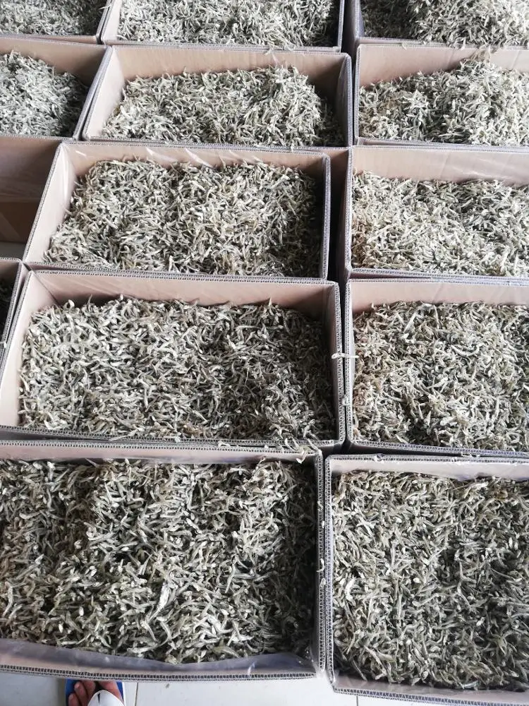 
dried salted anchovy - Dried Sprats 