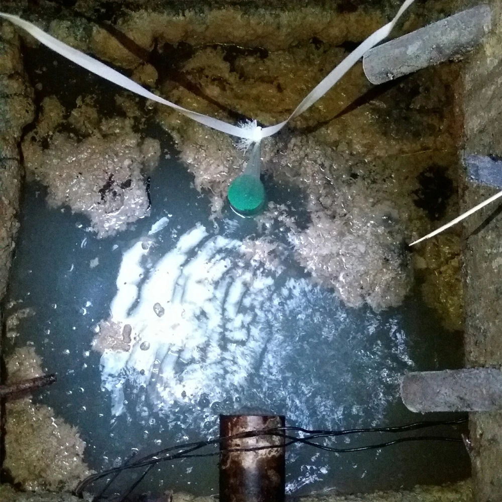 Eco Block - 3 Month Supply - 1KG - Grease Trap Eating Bacteria Block