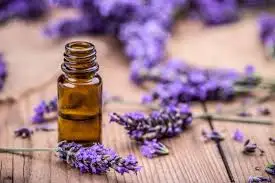 Skin Nourishing Private Label Flower Oil Fragrance Oils of Lavender Manufacturer for Lavender Organic Essential Oil