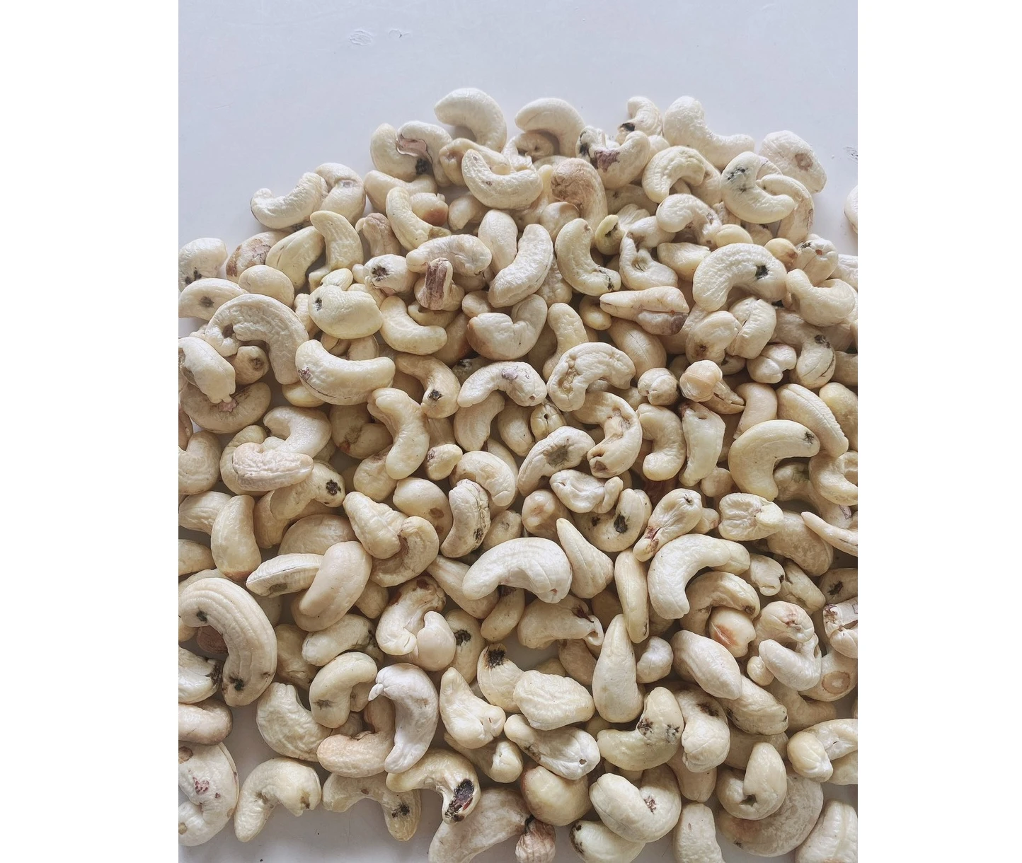 Vietnam ISO/HACCP Certification W320 Raw Cashews bulk supply Quality cashew nuts