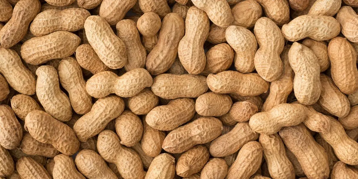 high quality pakistani Peanut