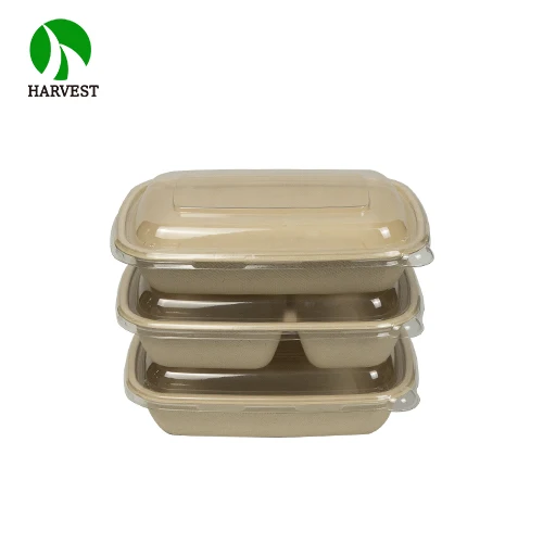 Disposable eco-friendly bamboo paper pulp takeaway food containers