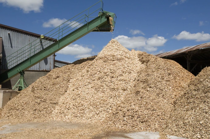 Распродажа вьетнамская Акация // сосна эвкалиптовая древесная щепа для бумаги /// низкая цена