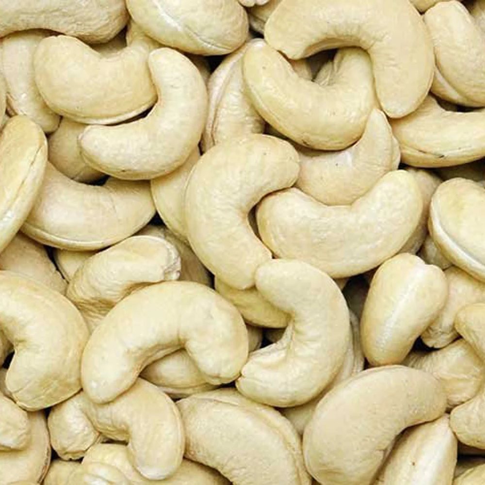 Wholesale High Quality Cashew Nuts W320 from Qualified Company Vietnam Premium Cashew Nut Products In Bulk Cashew Nut Raw