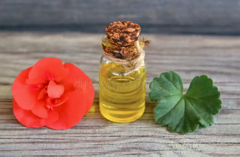 Geranium Oil