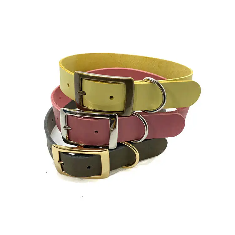 Pet Collar M10