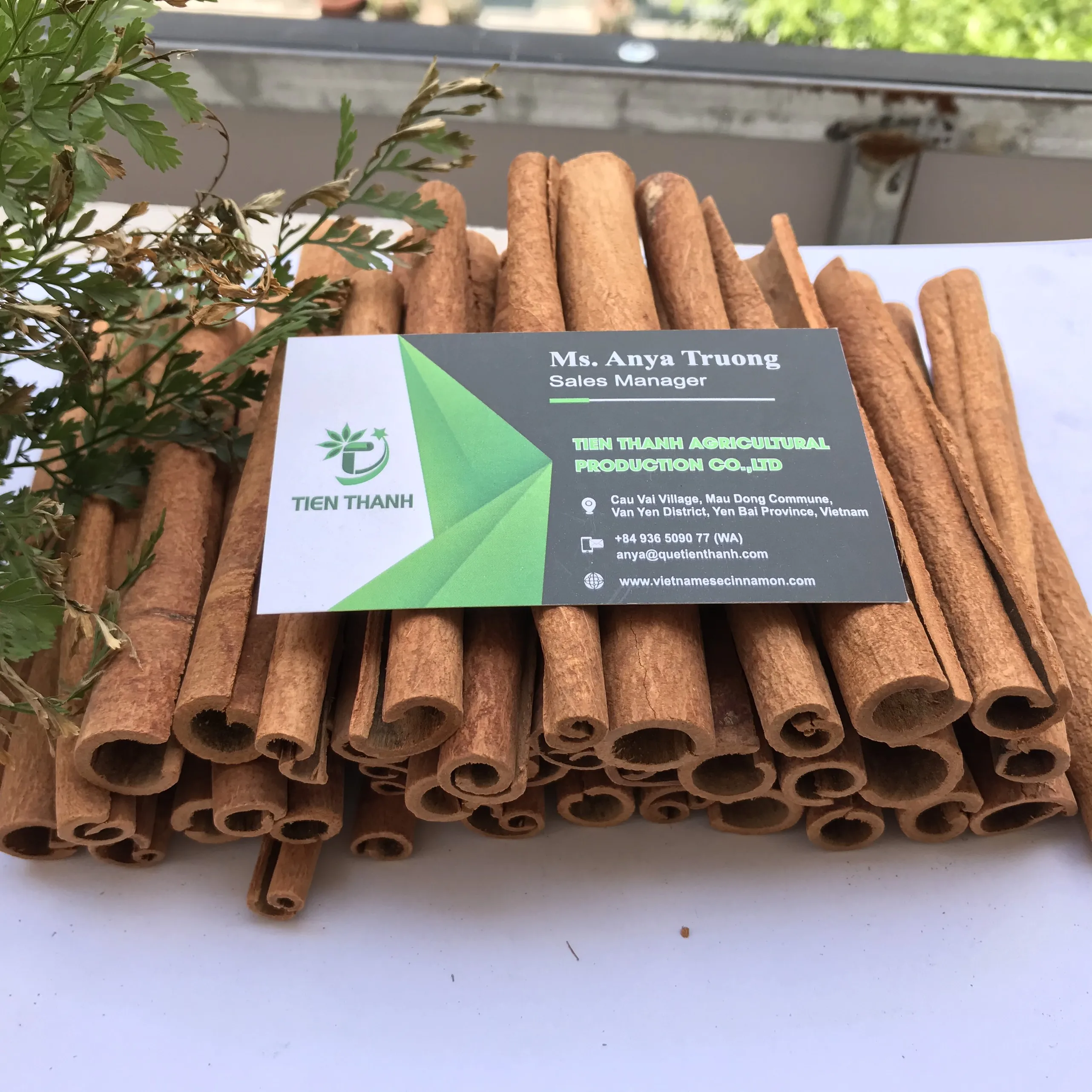 Stick Cinnamon /  Bastard Cinnamon / Canela de Cassia