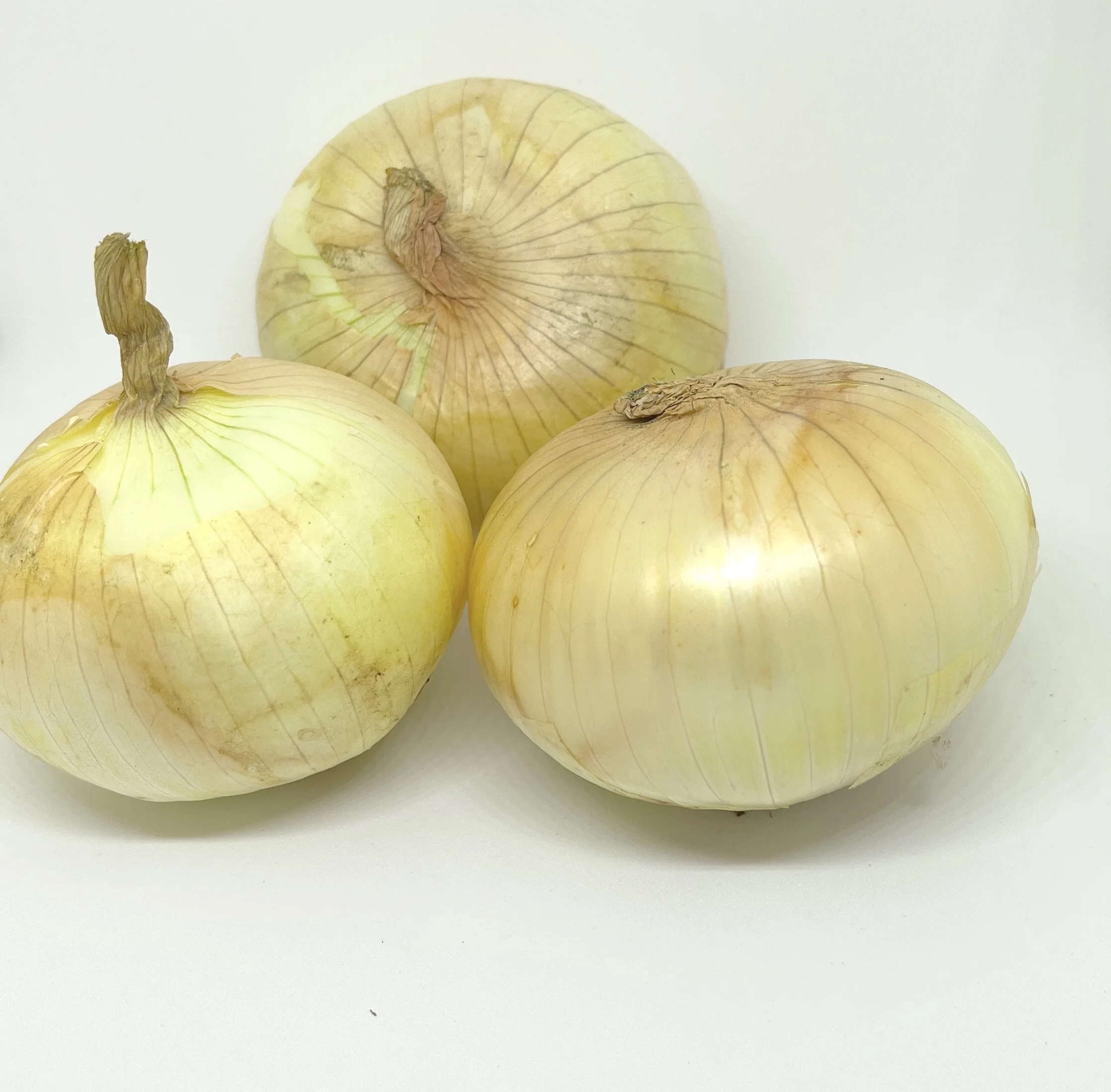 Y2022 New Crop Premium Fresh Onions direct from Thailand Farm (Premium Quality Fresh Onion) Fresh Harvest