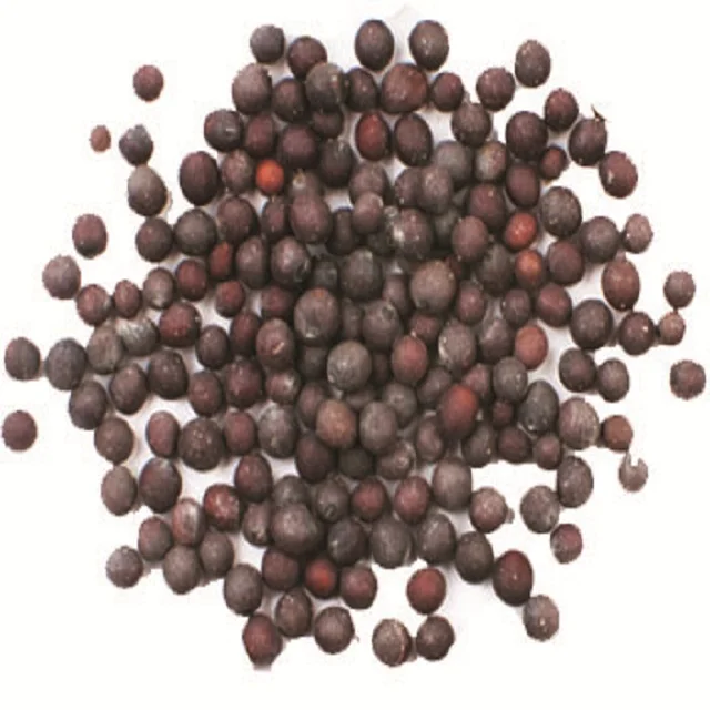 Black Mustard Seeds Single Herbs Spice High Quality Mustard Seeds Custom Packaging Wholesale Black Mustard seed Trusted Supplier