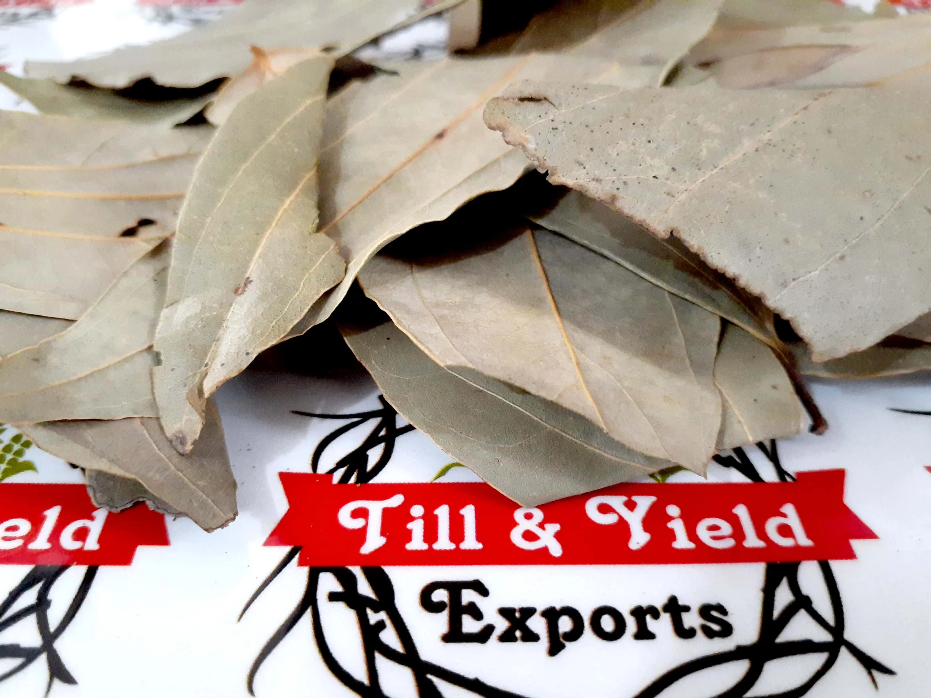 Bay Leaf/Tejpatta Zeylanicum Help Manage High Cholesterol Due To Its Antioxidant And Anti Inflammatory Properties