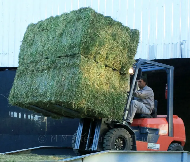 Best Alfalfa Hay Special Prices and Shipping for Gulf Region and Arab Countries