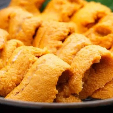 Замороженный питательный морской урчин для продажи по низкой цене