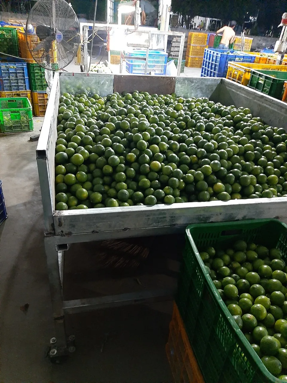 Свежий лимон высококачественные фрукты хорошие